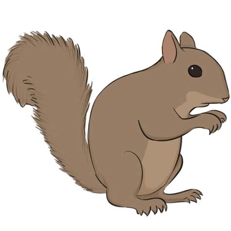 https://mocomi.com/ presents: How to Draw a SquirrelIn this simple step by step guide learn how to draw a Squirrel in a simple and interactive way. You just ...